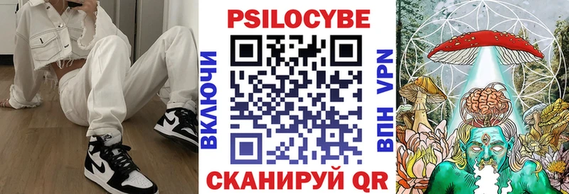 дарк нет формула  Сегежа  Псилоцибиновые грибы Cubensis  купить наркотик 