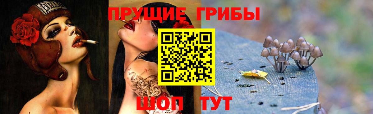 где можно купить   Псилоцибиновые грибы Cubensis  Галлюциногенные грибы Psilocybe  Вход с VPN  Сегежа 
